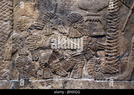 Faire campagne dans le sud de l'Iraq. Les têtes décapitées. L'assyrien, 640-620 BC. Ninive, South-West Palace. L'Iraq. British Museum. Londres. Banque D'Images
