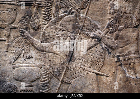 Faire campagne dans le sud de l'Iraq. Tête décapitée. L'assyrien, 640-620 BC. Ninive, South-West Palace. L'Iraq. British Museum. Londres. Banque D'Images
