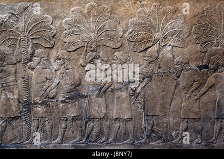 Faire campagne dans le sud de l'Iraq. L'assyrien, 640-620 BC. Ninive, South-West Palace. L'Iraq. British Museum. Londres. Banque D'Images