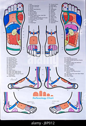 Réflexologie des pieds illustration graphique Banque D'Images