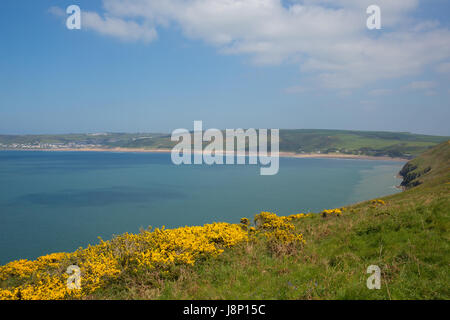 Woolacome Devon coast England UK en été avec des fleurs jaunes Banque D'Images