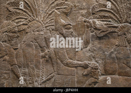 Faire campagne dans le sud de l'Iraq. Chefs des détenus. L'assyrien, 640-620 BC. Ninive, South-West Palace. L'Iraq. British Museum. Londres. Banque D'Images