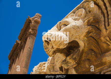 Lion et le Temple de Jupiter six colonnes corinthiennes , Baalbek Banque D'Images