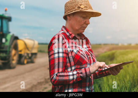L'agriculture intelligente, l'utilisation de la technologie moderne dans l'activité agricole, agricultrice agronome avec tablette numérique à l'aide de l'ordinateur mobile app dans la culture du blé Banque D'Images