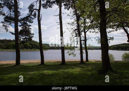 Réservoir à Fewston Swinsty, dans le Yorkshire du Nord. Washburn Valley. Où Leeds réunit son eau de Banque D'Images