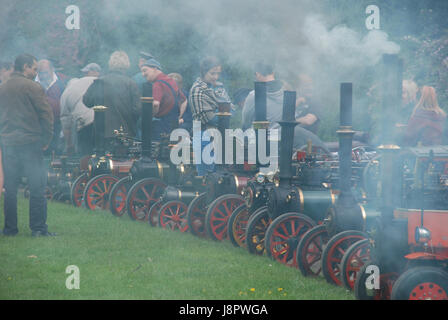 Les amateurs de moteur de traction à vapeur miniature Normanby Hall rally 2017 La vapeur produite par ces magnifiques machines colorées évoque la nostalgie réel Banque D'Images