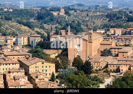 Vue aérienne sur les toits des maisons et de Sienne, Toscane, Italie Banque D'Images