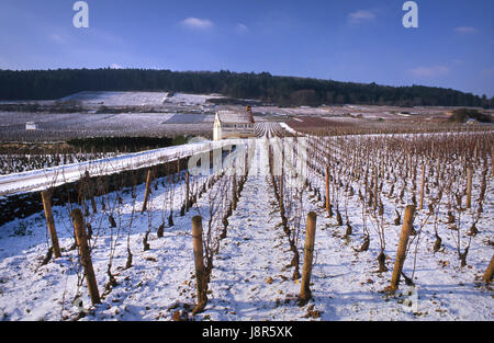 Les travailleurs de vin pierre rustique refuge refuge du Domaine Pierre Pointe Damoy en hiver sous la neige légère Chambertin Clos de Bèze vignoble, Gevrey-Chambertin, Bourgogne Côte de Nuits Côte d'Or, France. Banque D'Images