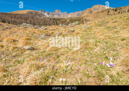 Lagorai, dans les Alpes italiennes. Chaîne de montagnes imposantes, le cirque bloque l'accès à la vallée suivante et le lac, le sentier sera jupe les pics à droite Banque D'Images