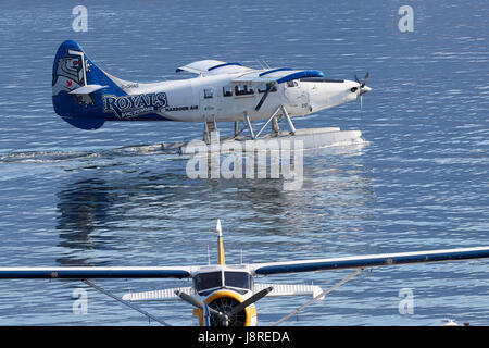 Harbour Air Seaplanes de Havilland Canada DHC-3 Otter Turbo T-roulant d'hydravion vol Vancouver Harbour Centre, British Columbia, Canada. Banque D'Images