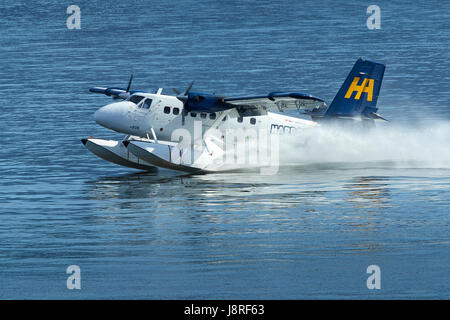 Harbour Air Seaplanes de Havilland Canada DHC-6 Twin Otter hydravion atterrissage à Vancouver Harbour Flight Centre, British Columbia, Canada. Banque D'Images