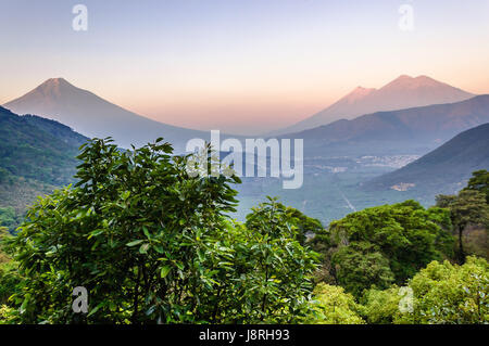 Au cours de l'aube : trois volcans Agua, Fuego et Acatenango, près de Antigua, Guatemala, Amérique centrale Banque D'Images