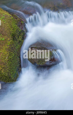 Close up of water Rushing River circulant sur les roches moussues Banque D'Images