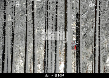 Arbre, arbres, hiver, neige, gondola, neige, forêt, ascenseur, ascenseur, arbre, arbres, Banque D'Images