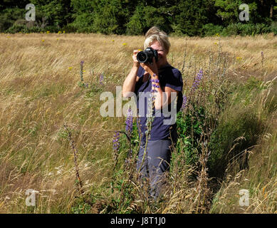 Femme photographe sur le terrain - Vallée d'Eglington Nouvelle-Zélande Banque D'Images