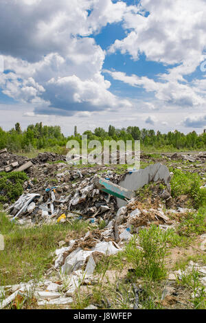 Dumping de déchets illégaux en dehors de la forêt sur une chaude journée d'été Banque D'Images