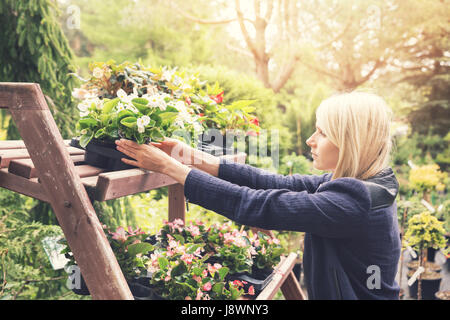 Sélection femme pot de fleur d'étagère de magasin pépinière jardin Banque D'Images
