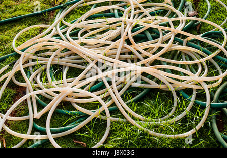 Tube en caoutchouc azurée (à eau) sur l'herbe verte, résumé Banque D'Images