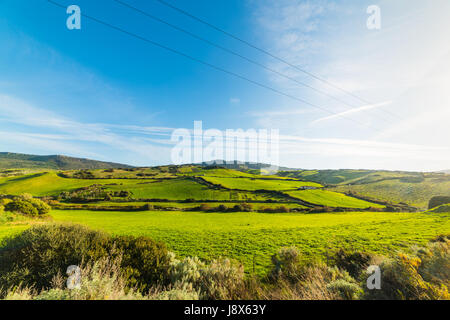 Green Hills en Sardaigne, Italie Banque D'Images