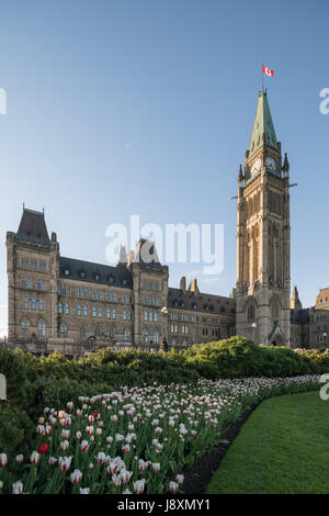 La colline du Parlement d'Ottawa, Canada, en un après-midi de printemps ensoleillé avec du rouge et blanc à l'avant-plan des tulipes Banque D'Images