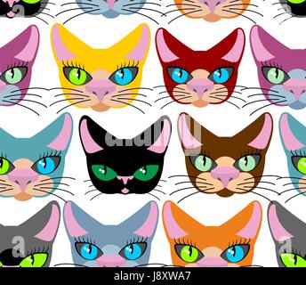 Les chats. transparente De nombreux animaux domestiques. Vector background d'animaux. Les différentes races de chats. La texture des tissus pour les enfants Illustration de Vecteur