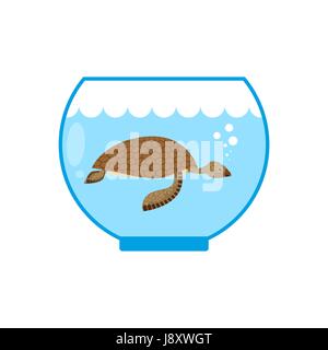 Tortue de mer dans un aquarium. Animal en captivité d'animaux d'eau. Illustration de Vecteur