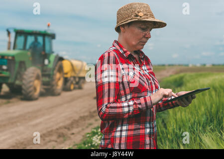 L'agriculture intelligente, l'utilisation de la technologie moderne dans l'activité agricole, agricultrice agronome avec tablette numérique à l'aide de l'ordinateur mobile app dans la culture du blé Banque D'Images