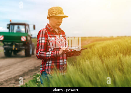 Responsable de l'agriculture intelligente, l'utilisation de la technologie moderne dans l'activité agricole, agricultrice agronome avec tablette numérique à l'aide de l'ordinateur mobile app dans Banque D'Images