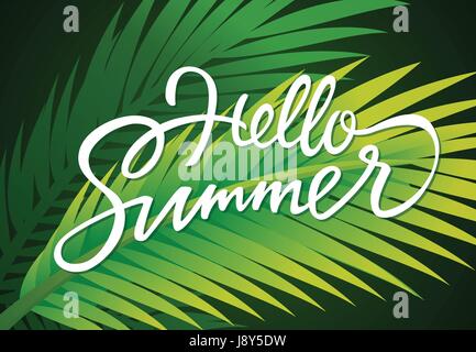 Hello Summer - vector notice modèle avec lettrage brosse Illustration de Vecteur