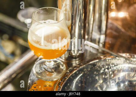 Verre de bière de blé sur le brassage permanent de l'équipement à une brasserie Banque D'Images