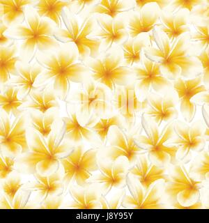 Motif transparent Plumeria Illustration de Vecteur