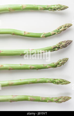 Les asperges sur un fond blanc isolé Banque D'Images