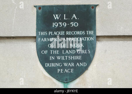 L'Armée de terre de femme plaque commémoratifs à Devizes Wiltshire, Angleterre Banque D'Images