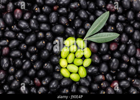 Forme d'olive verte sur fond d'olive noire avec deux feuilles. Produits frais récoltés pour la production d'huile d'Olive texture pattern. Les fruits de l'huile d'olive. Tuscan Banque D'Images