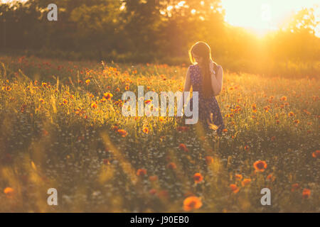 Femme au champ de coquelicots coucher de soleil d'été Banque D'Images