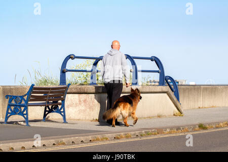 Southport, Merseyside, 31 mai 2017. Météo britannique. Un superbe début de journée ensoleillée comme un homme promène son chien bien-aimé le long de la promenade de la station balnéaire de Southport Merseyside. Après quelques jours de pluie persistante, la belle de l'été est de retour avec des températures devrait atteindre le milieu des années 20 plus tard dans l'après-midi. Credit : Cernan Elias/Alamy Live News Banque D'Images