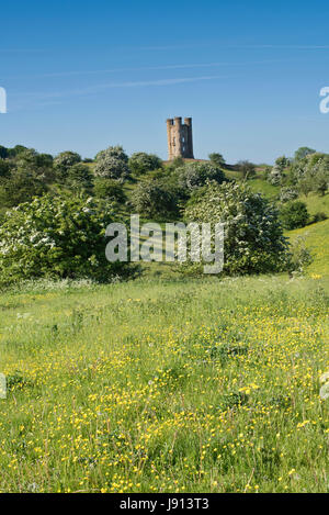 Broadway Tower et l'aubépine / mayblossom au printemps le long du chemin de Cotswold. Broadway, Cotswolds, Worcestershire, Angleterre. Banque D'Images