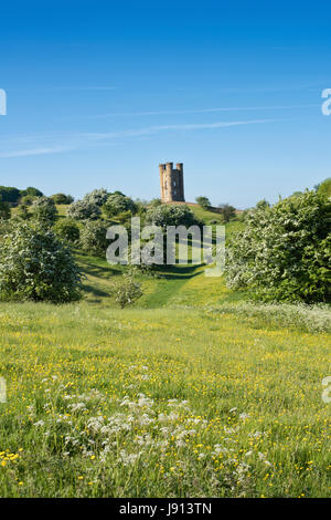 Broadway Tower et l'aubépine / mayblossom au printemps le long du chemin de Cotswold. Broadway, Cotswolds, Worcestershire, Angleterre. Banque D'Images