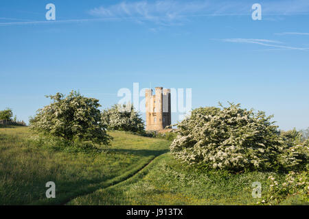 Broadway Tower et l'aubépine / mayblossom au printemps le long du chemin de Cotswold. Broadway, Cotswolds, Worcestershire, Angleterre. Banque D'Images