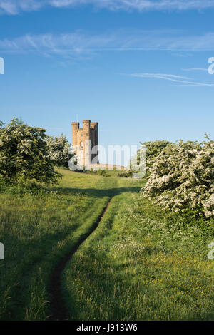 Broadway Tower et l'aubépine / mayblossom au printemps le long du chemin de Cotswold. Broadway, Cotswolds, Worcestershire, Angleterre. Banque D'Images