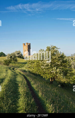 Broadway Tower et l'aubépine / mayblossom au printemps le long du chemin de Cotswold. Broadway, Cotswolds, Worcestershire, Angleterre. Banque D'Images