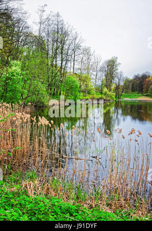 Petit étang dans IAM Cohelo Traku parc public à Vilnius, Lituanie. Banque D'Images