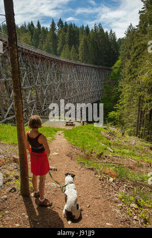 Rosemary Brian et Maureen sur le célèbre chemin de fer Trestle-Shawnigan Kinsol Lake, British Columbia, Canada. Banque D'Images