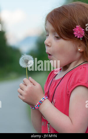 Cheveux rouge enfant féminin souffle sur une fleur (Taraxacum) avec les graines de Banque D'Images