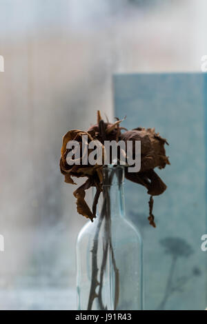 Dry bouquet de roses dans un vase Banque D'Images