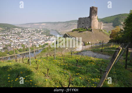 Mosel, ruine, Rhénanie-Palatinat, chateau, château, tour, historique, Banque D'Images