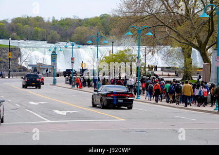 La floraison des tulipes et des jonquilles annuel à Niagara Falls, Ontario, Canada Banque D'Images