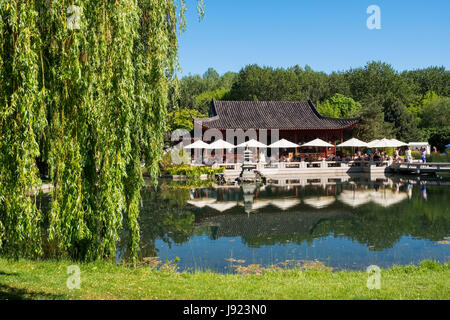 Jardin Chinois dans les jardins du monde 2017 de l'IGA (International Festival International de Jardins Garten Ausstellung) à Berlin, Allemagne Banque D'Images