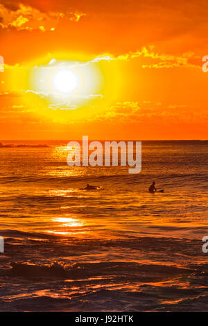 Orange Couleur lever de soleil sur l'horizon de mer flottants des surfeurs et d'attente pour monter une vague de Avalon beach à Sydney, Australie. Banque D'Images