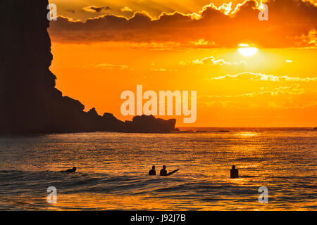 Un groupe de surfers actifs flottant sur les vagues de l'océan ouvert au lever de soleil orange contre Avalon hors plage dans une ombre de grands falaise de grès à Sydney, Aus Banque D'Images